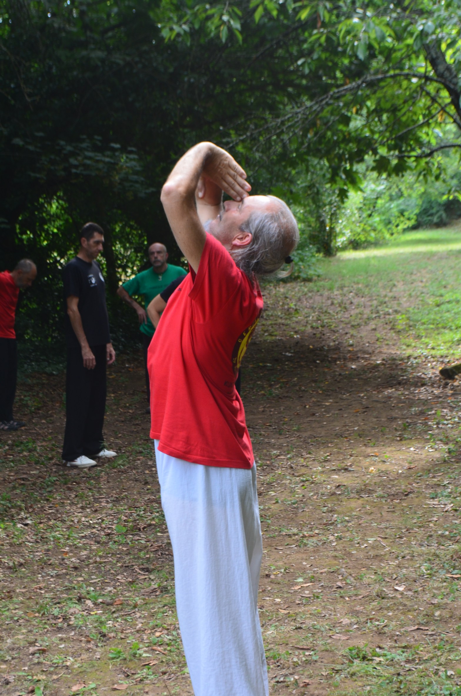 Philippe Ferrand-Yi Jin Jing