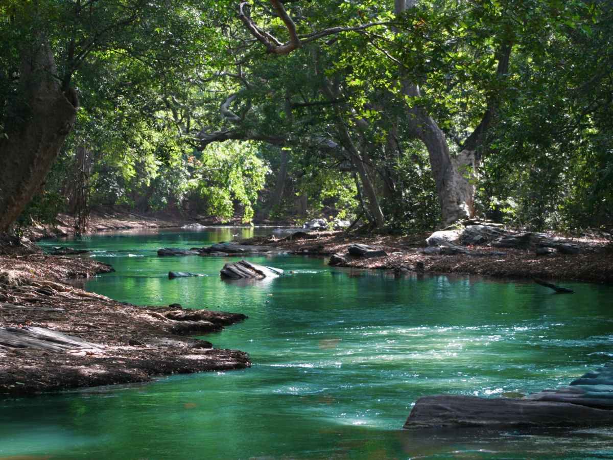 QI GONG A L&rsquo;ARBRESLE